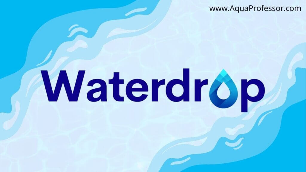 About Waterdrop Is It a Reliable Brand