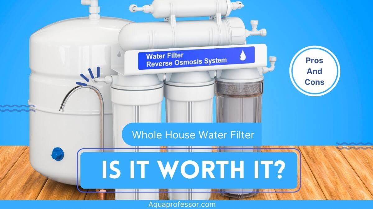 Are Whole House Water Filters Worth It