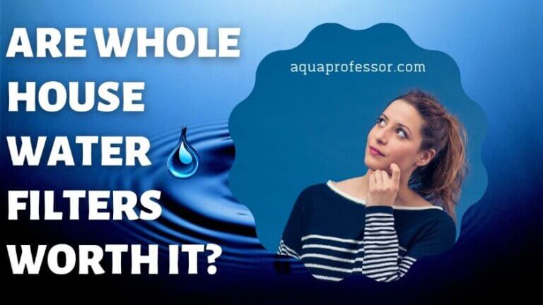 Are Whole House Water Filters Worth It? [The Deepest Guide In 2022]