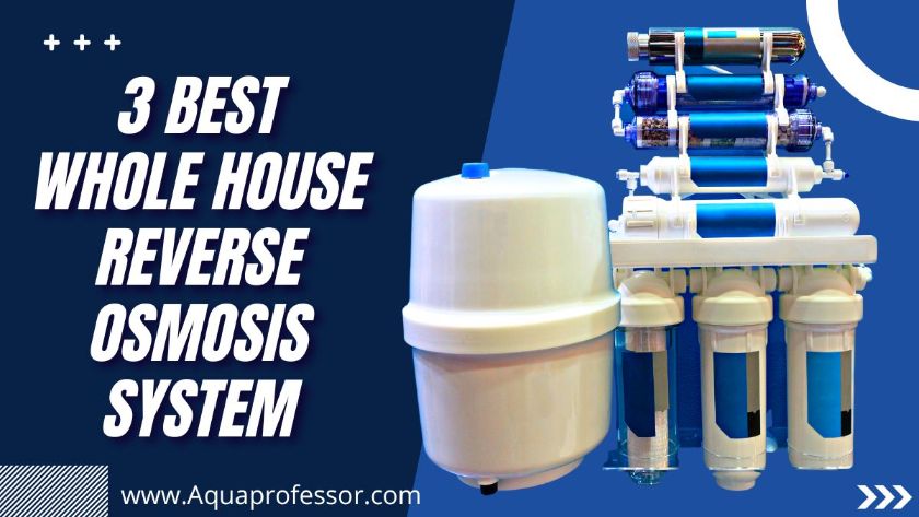 Best Whole House Reverse Osmosis System