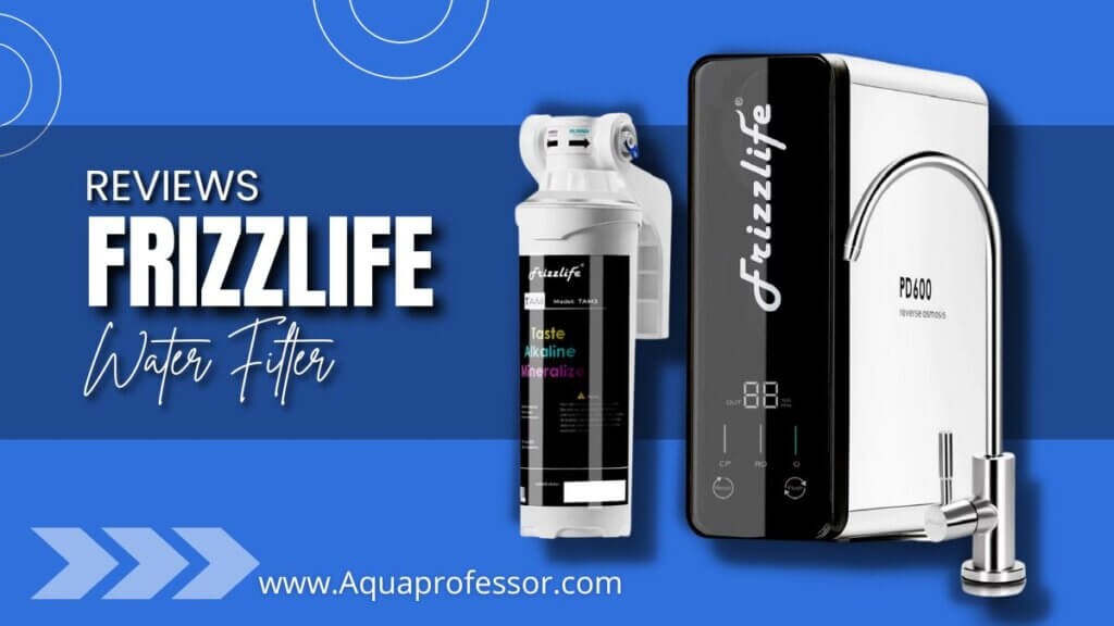 Frizzlife Water Filter Review