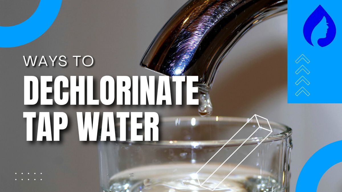 How To Dechlorinate Tap Water For Drinking, Fish, & Plants (2024
