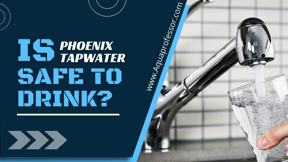 Is Phoenix Tap Water Safe To Drink Water Quality Tested (2024) Aqua