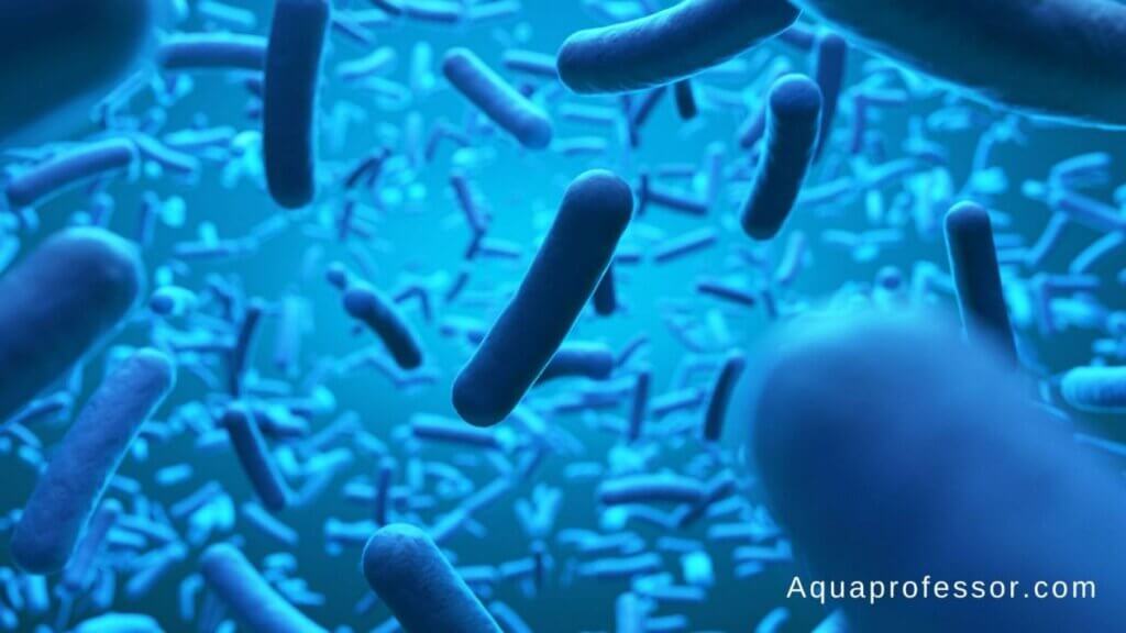 Can Bacteria Pass Through Reverse Osmosis