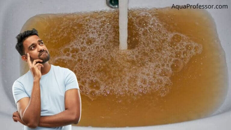 What Are Tannins In Water? (Help!)