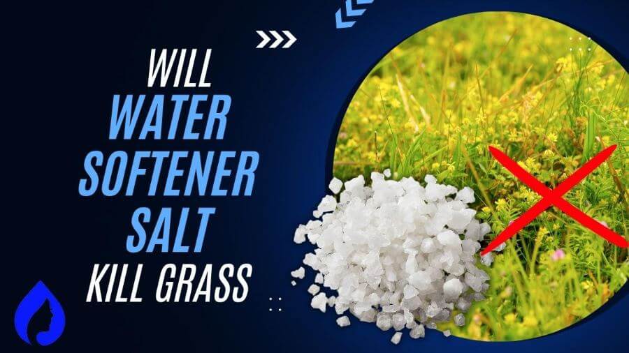 Will Water Softener Salt Kill Grass