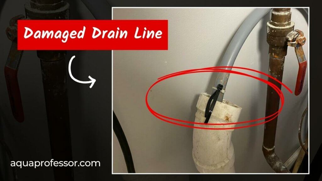Damaged Drain Line